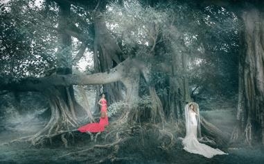 英超转会评价 英超转会一览2020