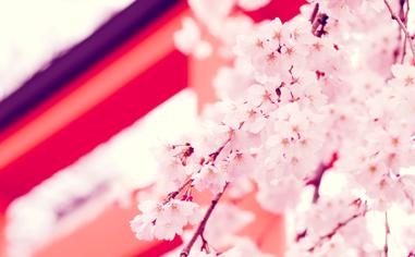 卡希诺/马尔什埃拉队录像 印尼羽毛球大师赛混双第1轮 对战vs蒋振邦/魏雅欣队回放 2023年01月24日 13:54:26比赛视频完整直播回看