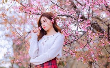 上海海港队录像 中超第29轮 对战vs山东泰山队回放 2023年10月29日 比赛视频完整直播回看