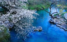 篮网8连胜联盟唯一可以拿捏雄鹿的球队 一组数据告诉你篮网有多强