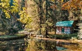 全明星投票 看这里 2023年也要记得给登哥投票喔！ #NBA全明星 #哈登 #詹姆斯哈登