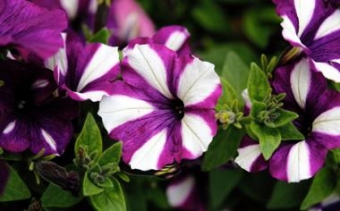 土耳其发生大地震，吴少聪社媒报平安：震中离我很远，感谢关心