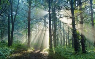 中国女篮队录像 三人篮球布拉格站半决赛 对战vs立陶宛队回放 2022年07月30日 20:05比赛视频完整直播回看