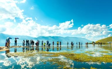 杜兰特：“最后一节把球给欧文就好”