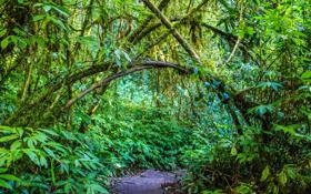 皇家马德里队录像 西甲第7轮 对战vs拉斯帕尔马斯队回放 2023年09月28日 01:00比赛视频完整直播回看