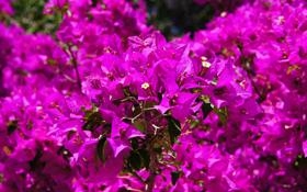 巩晨智队录像 斯诺克德国大师赛资格赛第1轮 对战vs白雨露队回放 2026年01月07日 07:24:57比赛视频完整直播回看