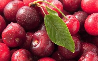 录像 F1迈阿密大奖赛排位赛 对战vs回放 2023年05月07日 04:00比赛视频完整直播回看