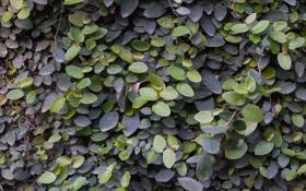 英超-热刺凭孙兴慜2-1绝杀利物浦，豪取英超胜利