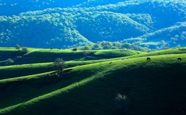 哈登拜服、威少崇敬、库里喜获签名球衣这就是小罗的魅力 #小罗 #韦斯特布鲁克 #哈登 #库里