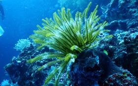 施特鲁夫队录像 上海大师赛男单第2轮 对战vs阿纳尔迪队回放 2023年10月08日 09:42:57比赛视频完整直播回看