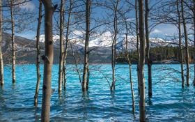 瑞典女足队录像 奥运女足决赛 对战vs加拿大女足队回放 2021年08月06日 20:00比赛视频完整直播回看