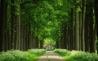 格鲁吉亚队录像 欧洲杯预选赛A组 对战vs挪威队回放 2023年03月29日 00:00比赛视频完整直播回看