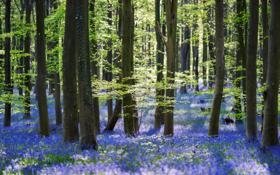 深圳队录像 CBA常规赛 对战vs广州队回放 2023年11月04日 19:35比赛视频完整直播回看