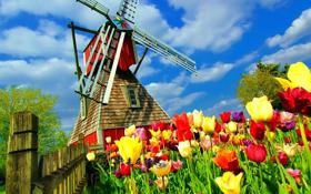 国王队录像 NBA季前赛 对战vs猛龙队回放 2023年10月09日 08:00比赛视频完整直播回看