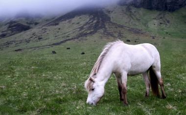 塞维利亚队录像 西甲第32轮 对战vs赫罗纳队回放 2023年05月02日 03:00比赛视频完整直播回看