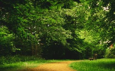 湖人vs独行侠伤病报告:詹姆斯大概率带伤出战PK东契奇,两队6人确定无缘年终大战