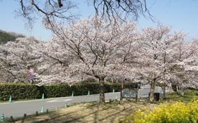 兰斯队录像 法甲第2轮 对战vs克莱蒙队回放 2023年08月20日 21:00比赛视频完整直播回看