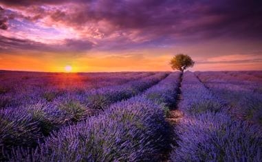 泰勒·卢西 (Tyler Lussi) 在北卡罗来纳州连续第三次获胜中得分