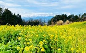 恩波利队录像 意甲第22轮 对战vs斯佩齐亚队回放 2023年02月11日 22:00比赛视频完整直播回看