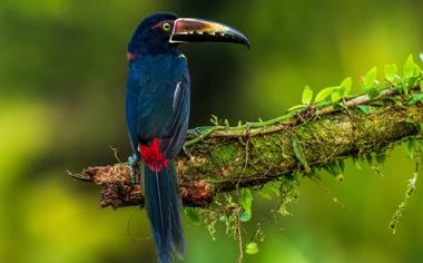 找回状态！乔治25中15砍下赛季新高45分，过去4场场均31分