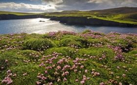 状态火热！赵岩昊三分10中7砍下35分4板3断 得分创生涯新高