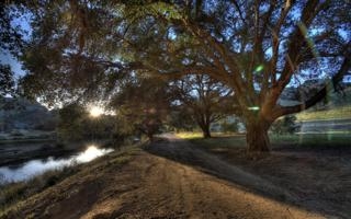 中国队录像 米兰冬奥会男子冰壶小组循环赛 对战vs德国队回放 2026年02月19日 16:05比赛视频完整直播回看