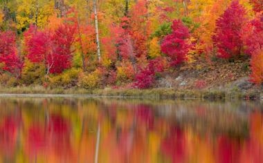 奥沙利文队录像 斯诺克国际锦标赛1/4决赛 对战vs阿里-卡特队回放 2023年11月10日 10:43:31比赛视频完整直播回看