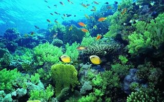 NBA彩经:掘金轻取快船延续连胜 客场糟糕勇士难大胜马刺