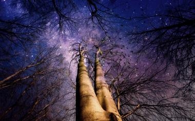 灰熊队录像 NBA季前赛 对战vs老鹰队回放 2023年10月13日 07:30比赛视频完整直播回看