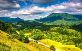 快船队录像 NBA常规赛 对战vs爵士队回放 2023年10月28日 09:30比赛视频完整直播回看