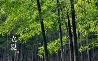 克雷斯波：希望能够和恩佐在英超重聚，他有能力成为顶级的球员