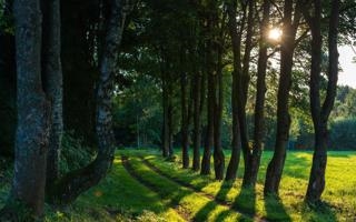 高芙队录像 WTA斯图加特站女单第1轮 对战vs卡萨金娜队回放 2022年04月21日 12:00:38比赛视频完整直播回看