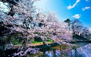 美因茨队录像 德甲第29轮 对战vs拜仁慕尼黑队回放 2023年04月22日 21:30比赛视频完整直播回看