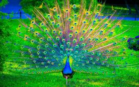 特鲁姆普队录像 斯诺克国际锦标赛第2轮 对战vs迈克尔-怀特队回放 2023年11月07日 02:10:38比赛视频完整直播回看