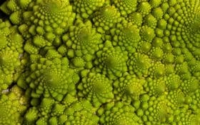 昆山FC队录像 足协杯 对战vs辽宁沈阳城市队回放 2021年08月20日 19:35比赛视频完整直播回看