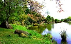 录像 2020东京奥运会男排亚洲区资格赛 中国队-中国台北 对战vs中国台北队回放 比赛视频完整直播回看