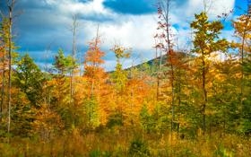 费耶诺德队录像 欧协联半决赛首回合 对战vs马赛队回放 2022年04月29日 03:00比赛视频完整直播回看