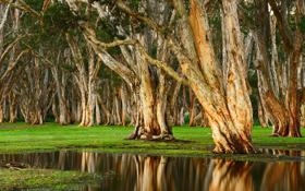 冰岛队录像 欧洲杯外围赛第3轮 对战vs斯洛伐克队回放 2023年06月18日 02:45比赛视频完整直播回看