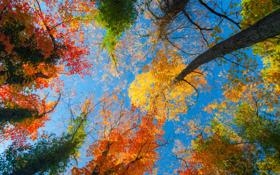 不莱梅队录像 德甲第24轮 对战vs勒沃库森队回放 2023年03月13日 00:30比赛视频完整直播回看