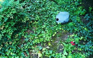 斯特拉斯堡队录像 法甲第11轮 对战vs克莱蒙队回放 2023年11月05日 22:00比赛视频完整直播回看