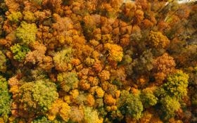 波尔图队录像 欧冠小组赛C组第2轮 对战vs奥林匹亚科斯队回放 2020年10月28日 04:00比赛视频完整直播回看