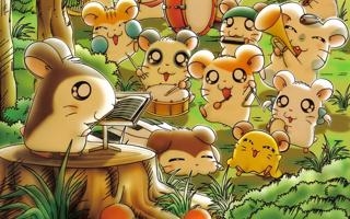 高效砍分!杜润旺10投7中&三分7中4 得到18分2助1帽助队大胜