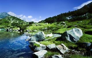 TA：阿森纳为矿工前锋穆德里克报价6500万欧，对方要价1亿欧元