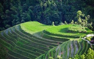 内维尔队录像 新加坡羽毛球女单 对战vs何冰娇队回放 2022年07月14日 16:06:08比赛视频完整直播回看