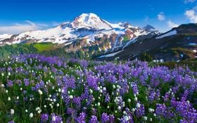 比尔队录像 NFL常规赛 对战vs喷气机队回放 2023年09月12日 08:15比赛视频完整直播回看