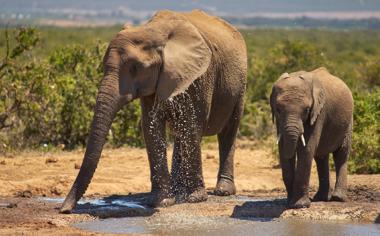猛龙队录像 NBA常规赛 对战vs76人队回放 2023年11月03日 07:00比赛视频完整直播回看