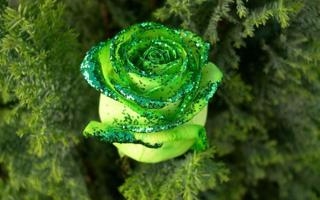 中国香港U23队录像 亚运男足半决赛 对战vs日本U23队回放 2023年10月04日 18:00比赛视频完整直播回看