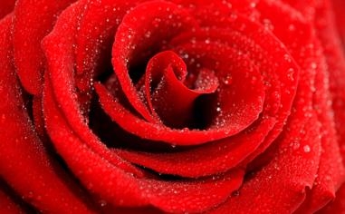 斯佩齐亚队录像 意甲第10轮 对战vs克雷莫纳队回放 2022年10月16日 比赛视频完整直播回看