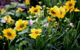 格雷队录像 温网男单第2轮 对战vs弗里茨队回放 2022年07月01日 09:49:47比赛视频完整直播回看