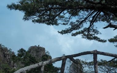 英超 跑动距离(英超跑动距离统计)